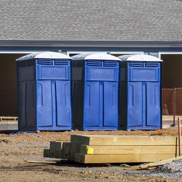 how can i report damages or issues with the portable toilets during my rental period in McLean Virginia